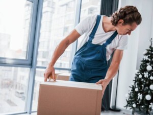 What are Professional Movers?