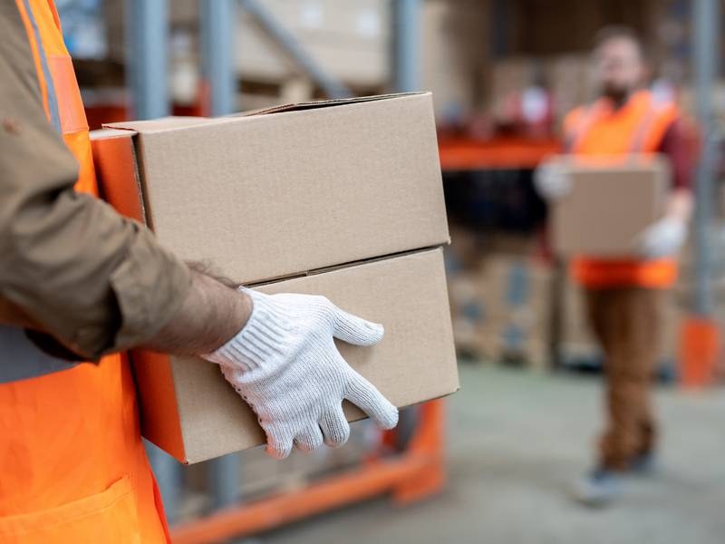 What Are the Types of Professional Movers?