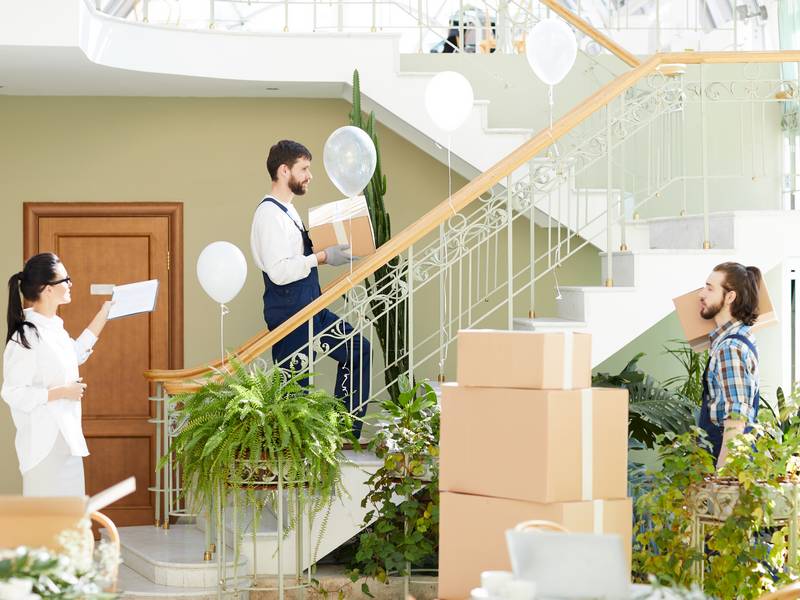 Can Affordable Movers Do Everything I Need?